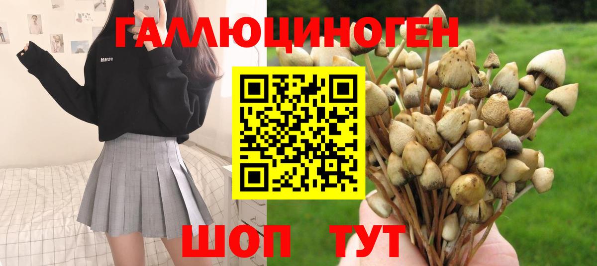 Галлюциногенные грибы мицелий  Вход с VPN  Протвино  Галлюциногенные грибы ЛСД 